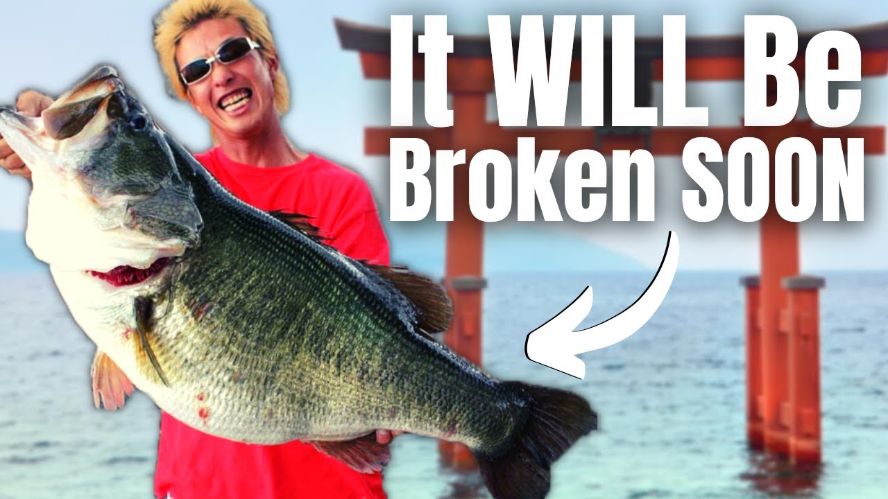 Potential New WORLD RECORD BASS Swimming In LAKE BIWA