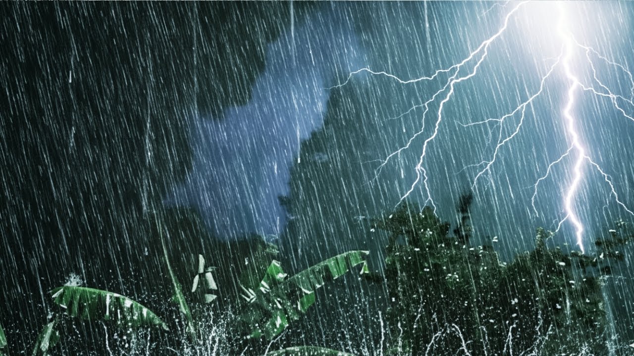 Heavy Rain, Strong Winds, and Lightning at Night in the Forest to Sleep l Overcome Insomnia