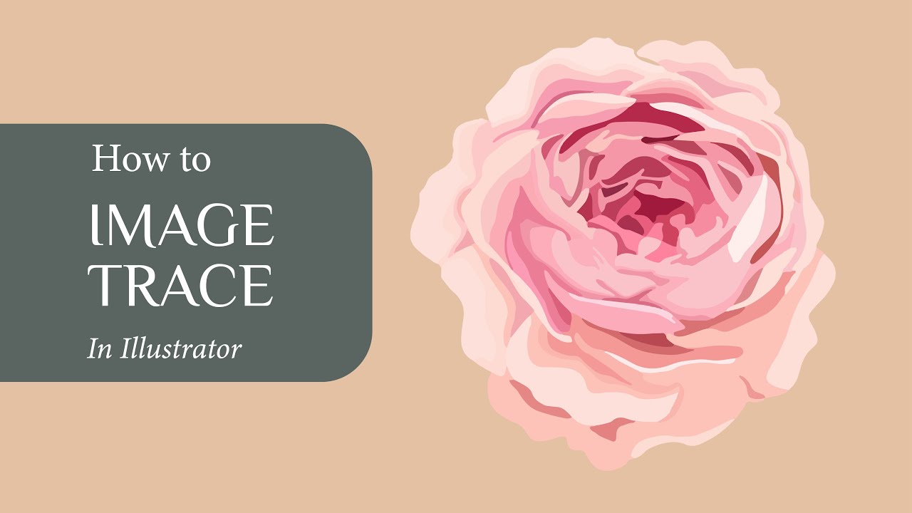 How To : Image Trace Raster to Vector in Illustrator