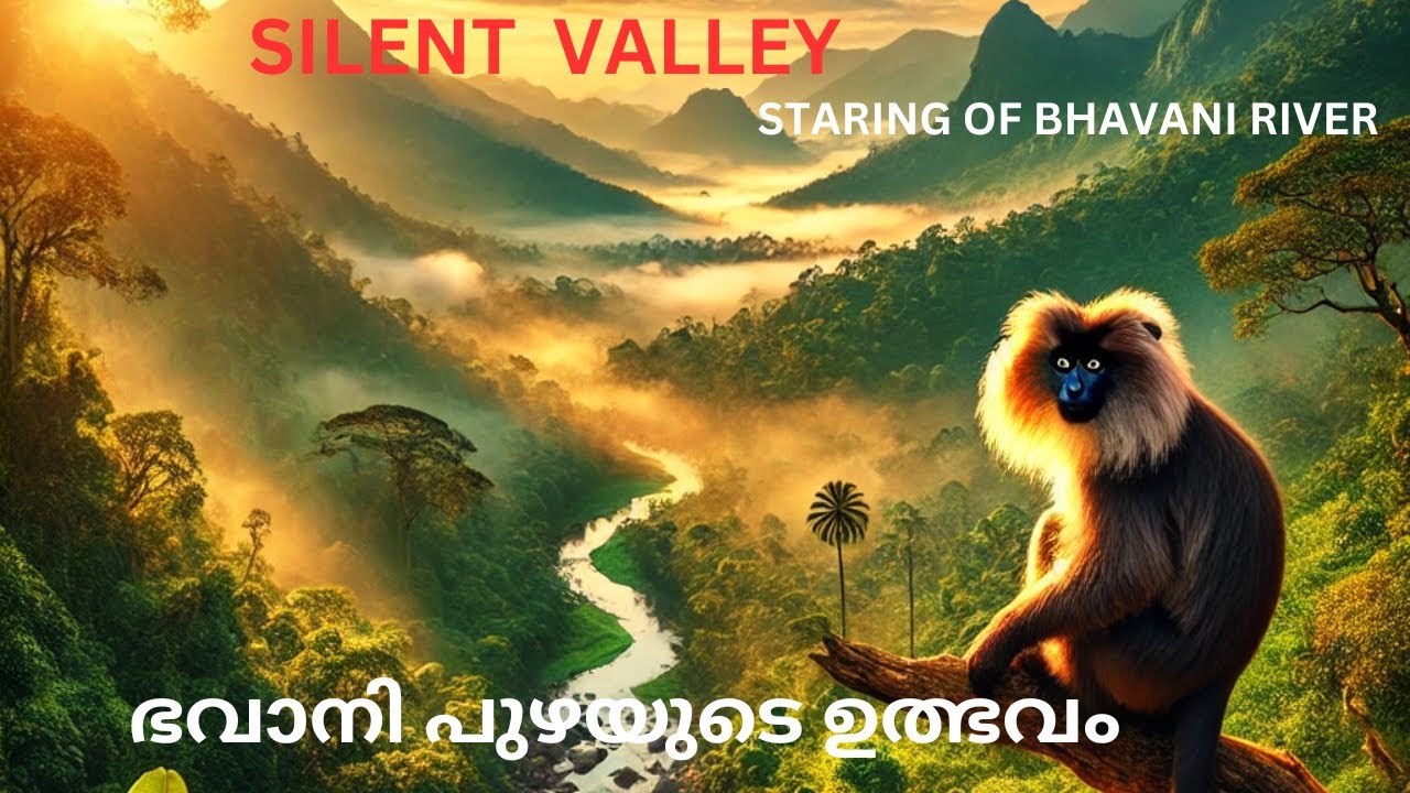 SILENT VALLEY PART I # STARTING OF BHAVANI RIVER