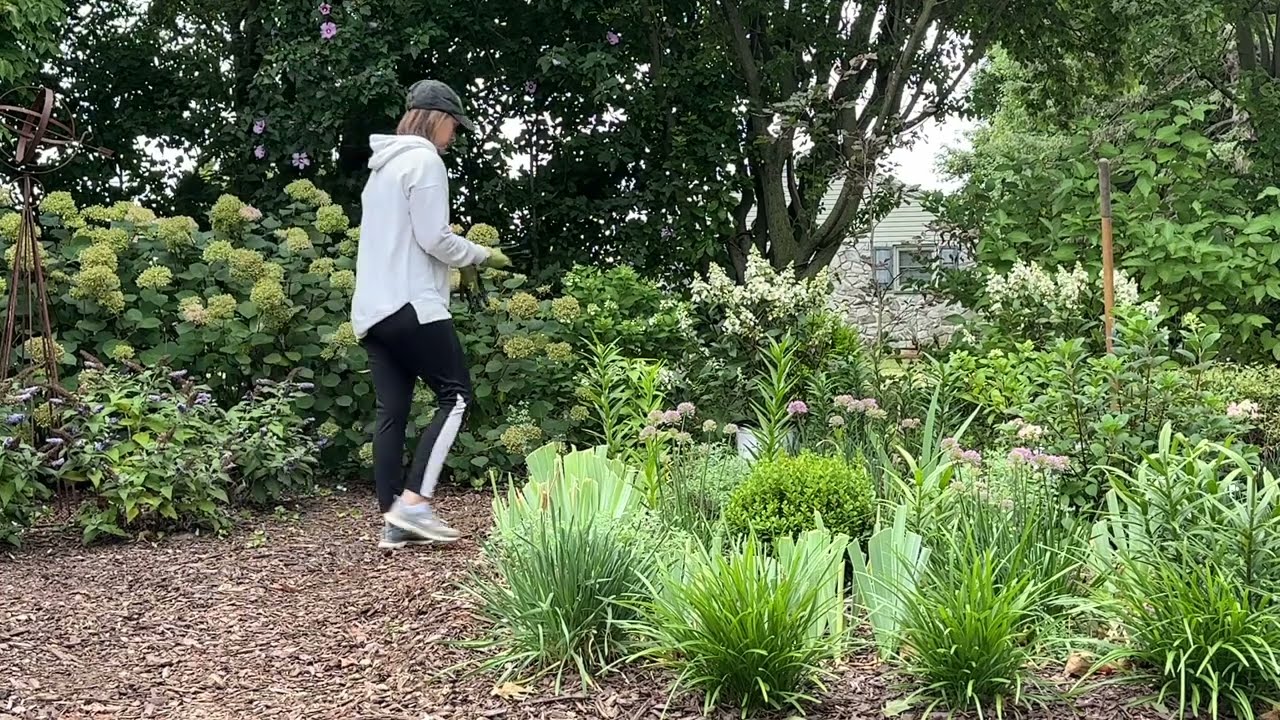 Creating &ldquo;Whimsical Formality&rdquo; in the Driveway Garden    / Designing a Low Maintenance Shrub Garden