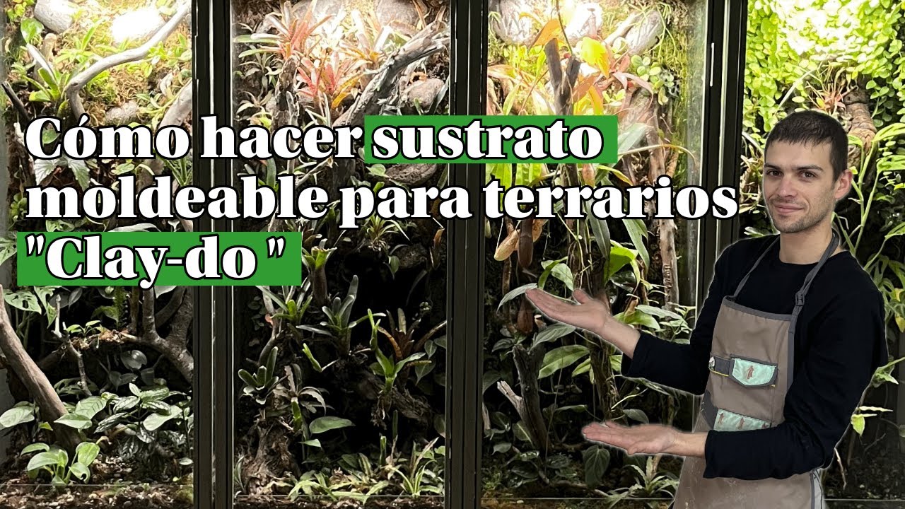 C&oacute;mo hacer sustrato moldeable para terrarios o 