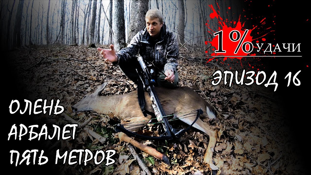 1% УДАЧИ. Эпизод 016: Добыл оленя с арбалета с 5 метров.
