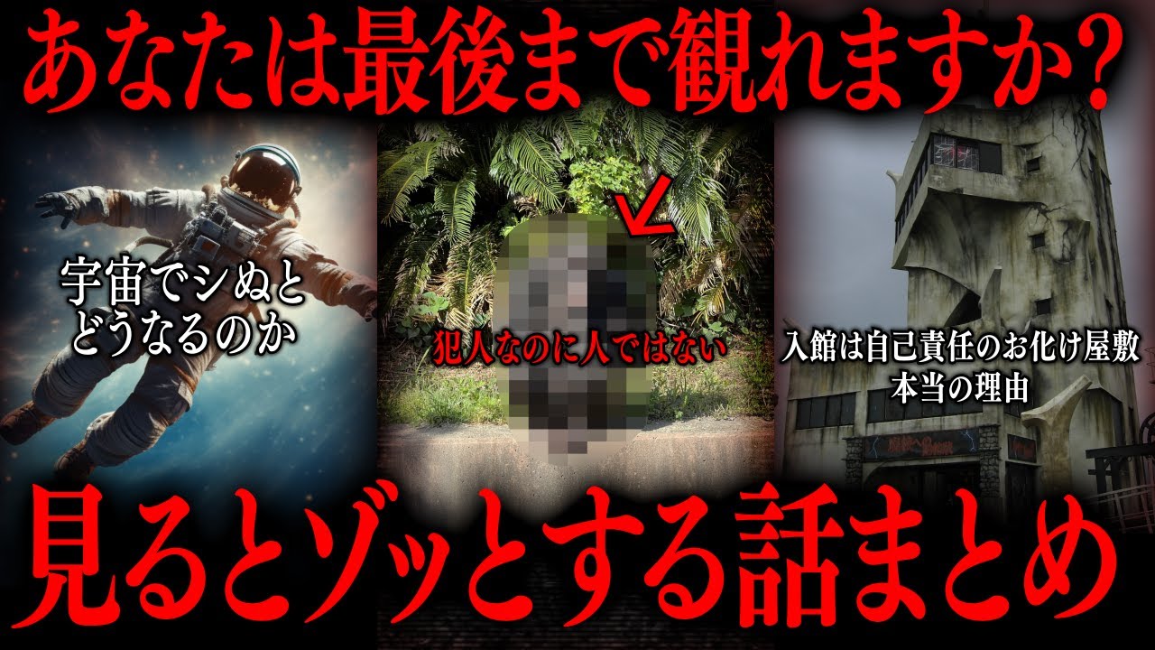 【切り抜き】【たっくーTV/作業用】