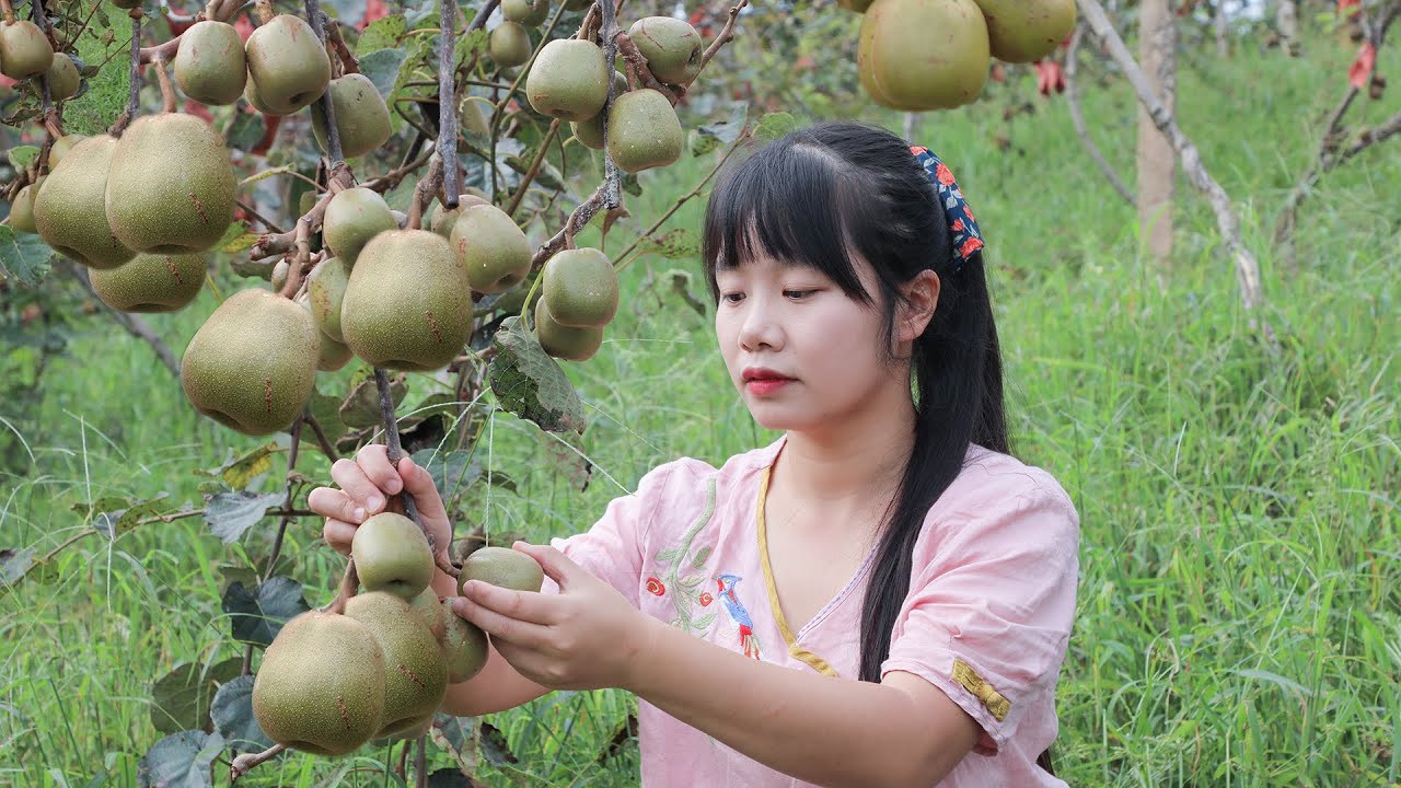 【二米炊烟】Kiwi-Winemaking 釀了一個冬天的獼猴桃果酒，還是和羊肉串最配