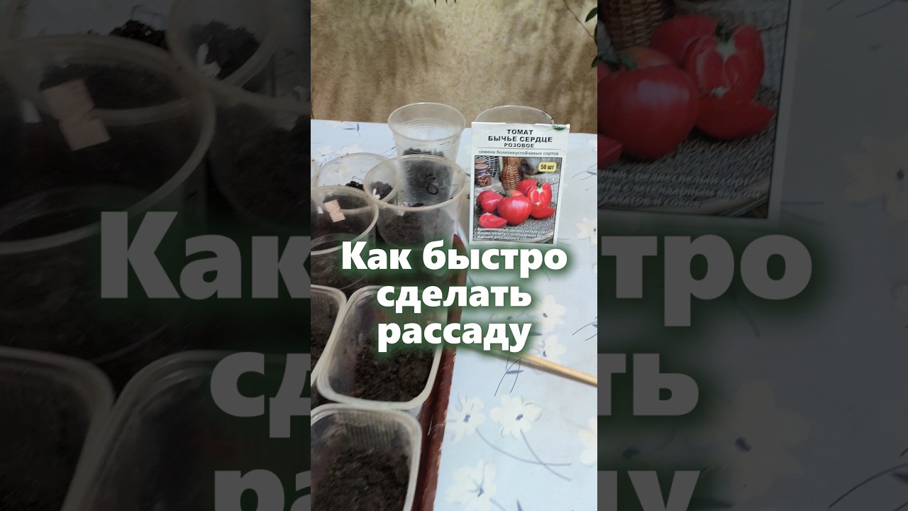 Ускоряем проращивание семян