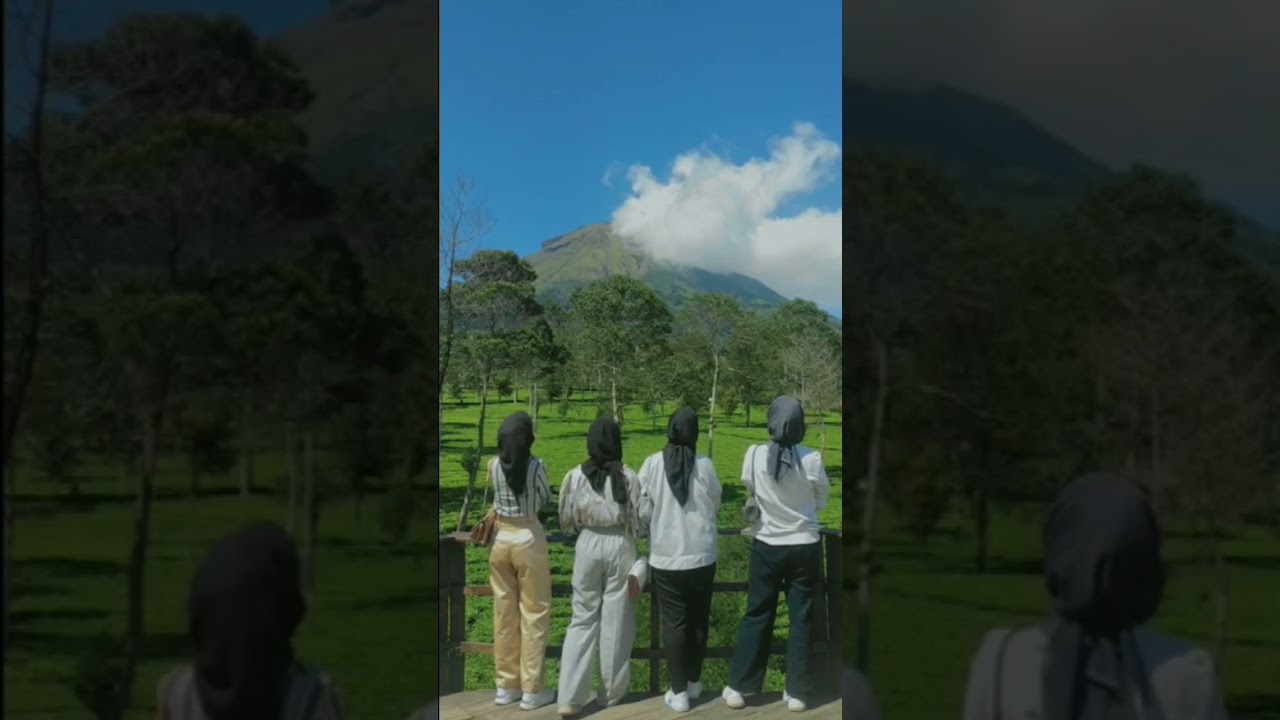 ✨️ #kebuntehtambi #kebunteh #sejuk #wonosobo #dieng