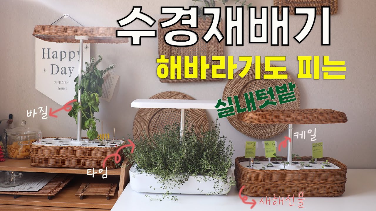 🔴식물재배기 이제 채소값 걱정마세요! 오늘식물 수경재배기 공동구매 /구매자 전원 새해선물 증정
