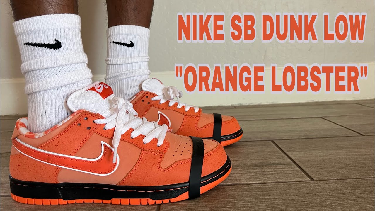 NIKE SB DUNK LOW 