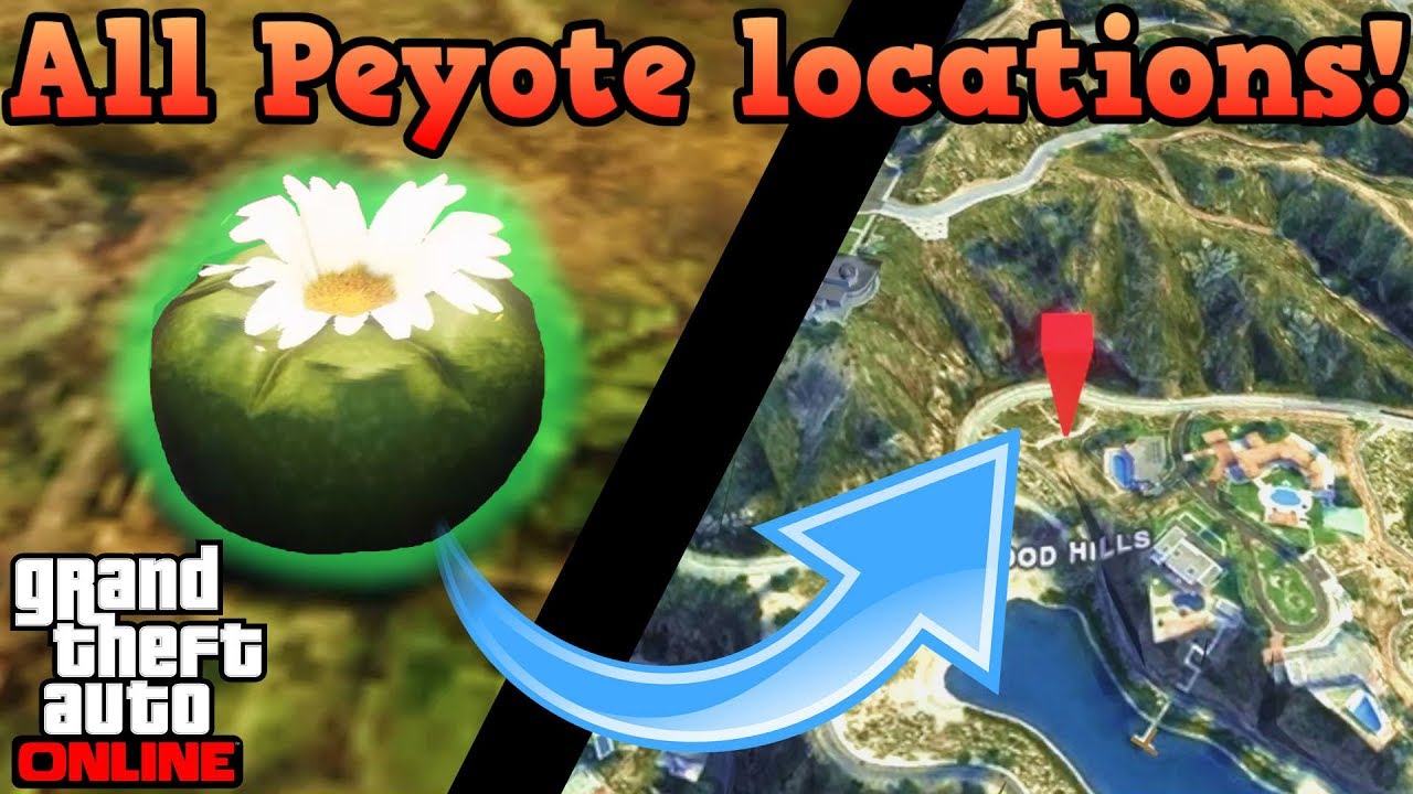 All Peyote plant locations (LAND) - GTA Online guides