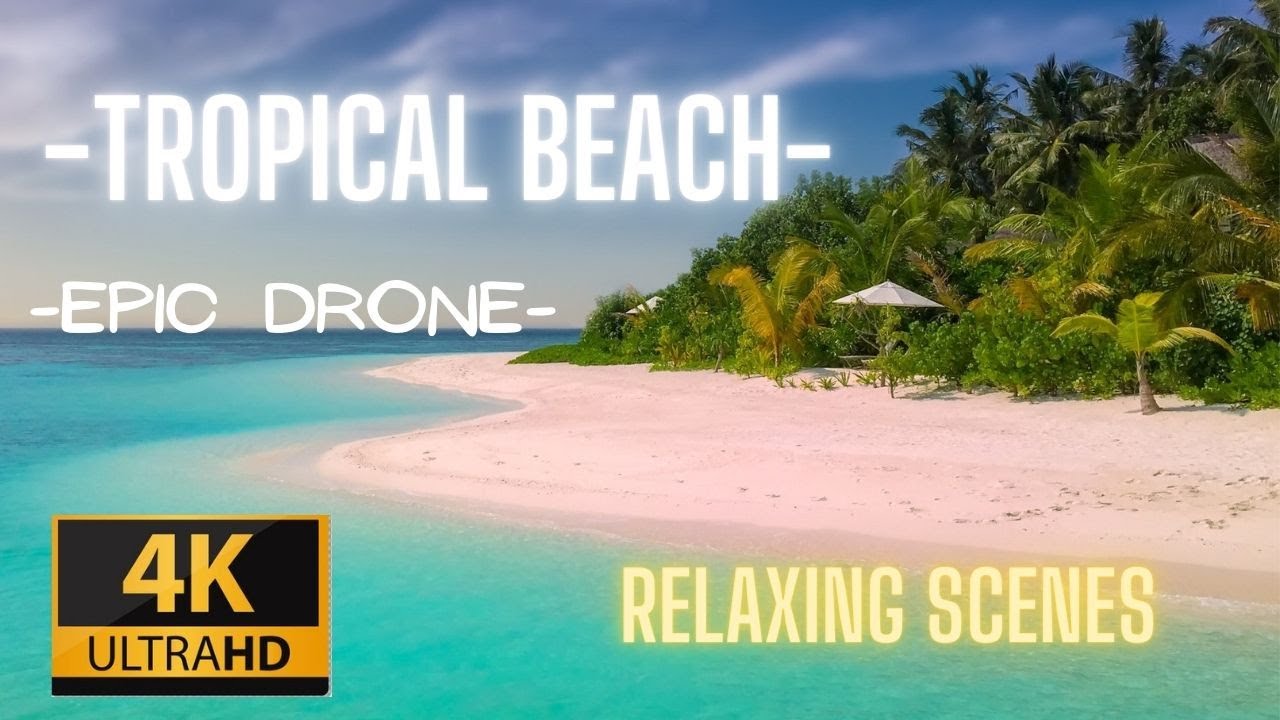 TROPICAL Beach 4K - Drone View - Holiday Feeling - Beach Therapy | Free HD | 4K Videos