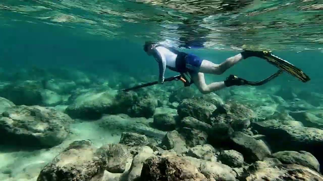 Подводная охота в Средиземном море #diving #sea #mediterranean #mediterraneanlife #israel
