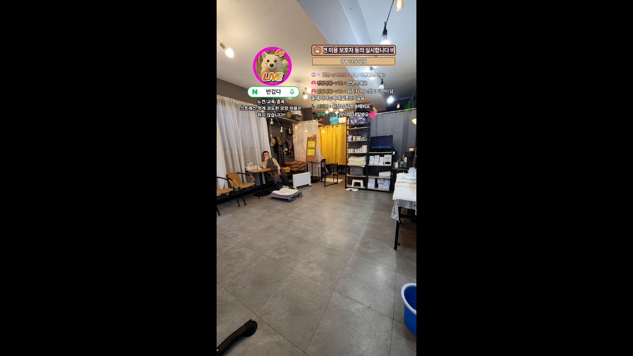 셀리/푸들 구리에서 날라왔어요 ㅋㅋㅋ