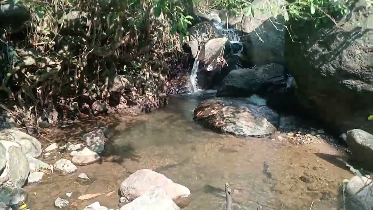 വെള്ളച്ചാട്ടത്തിന് അടിയിൽ കണ്ടത് കണ്ടോക്കി