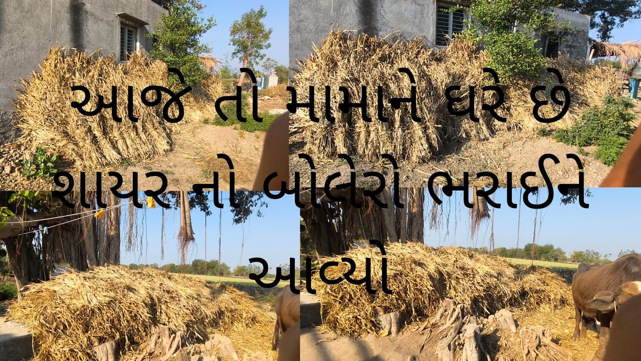 આજે તો મામાને ઘરેથી શાયર નો બોલેરો ભરાઈને આવ્યો 