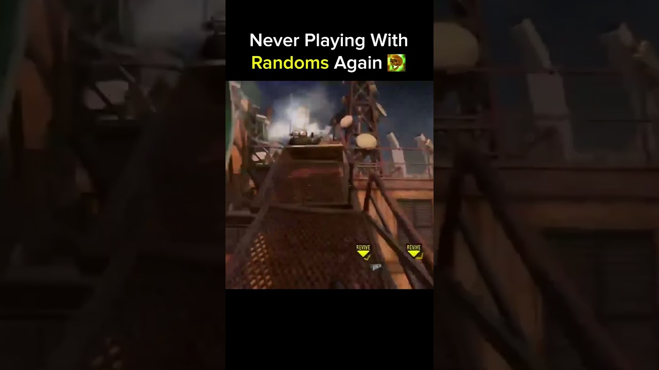Never Playing With Randoms Again 💀