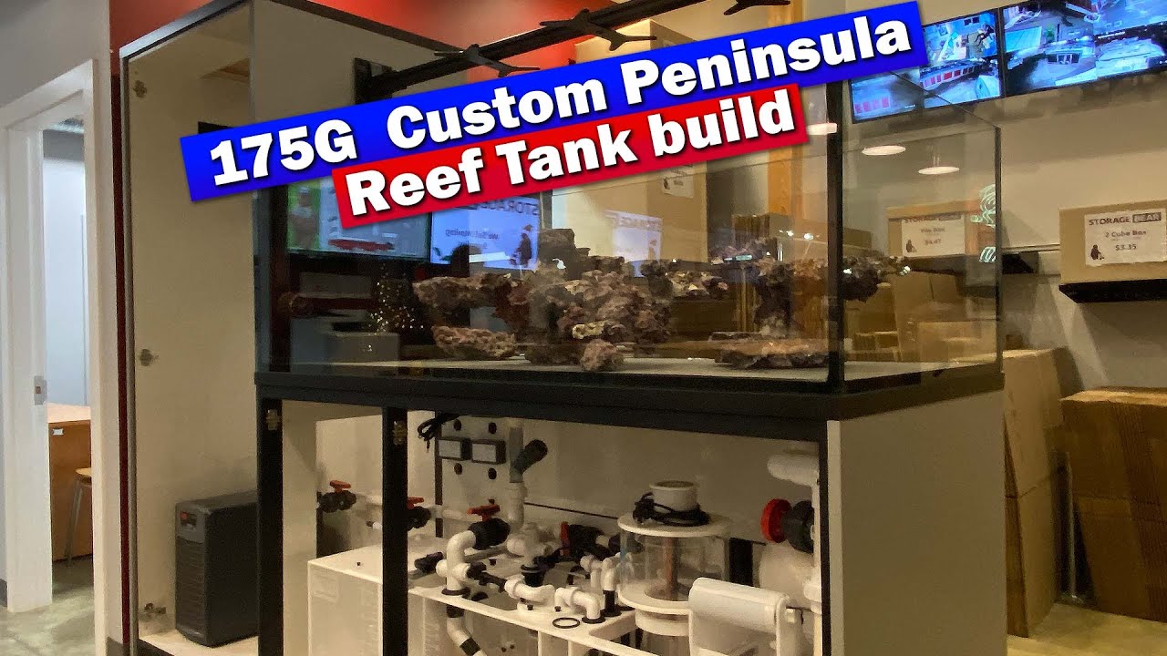 Аквариум Curtis's Peninsula Reef 175G — индивидуальный тур по морскому аквариуму