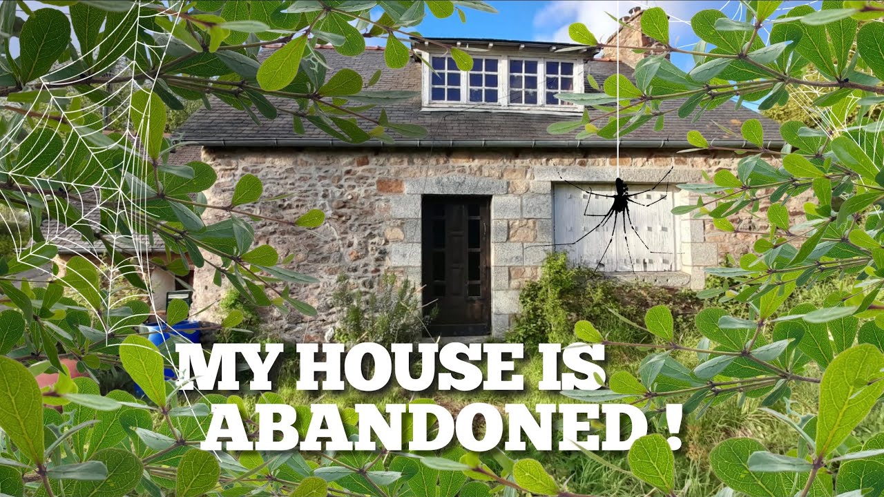 I&rsquo;m Starting the Renovation !