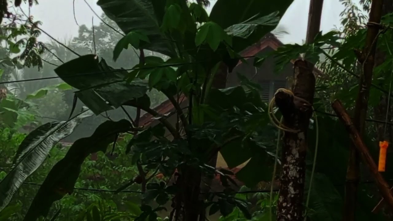 heavy rain relaxation