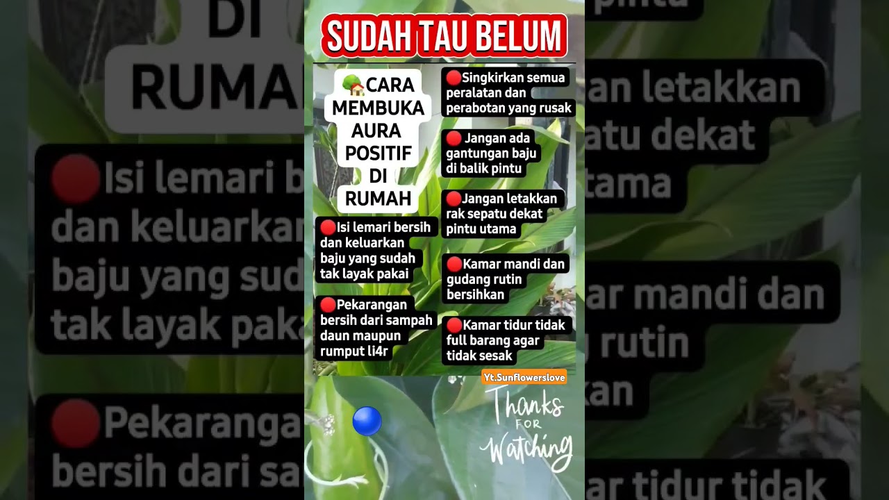 membuka aura positif di rumah #shortsviral #videoviral #tipssukses #tipspraktis #tipsrumahtangga