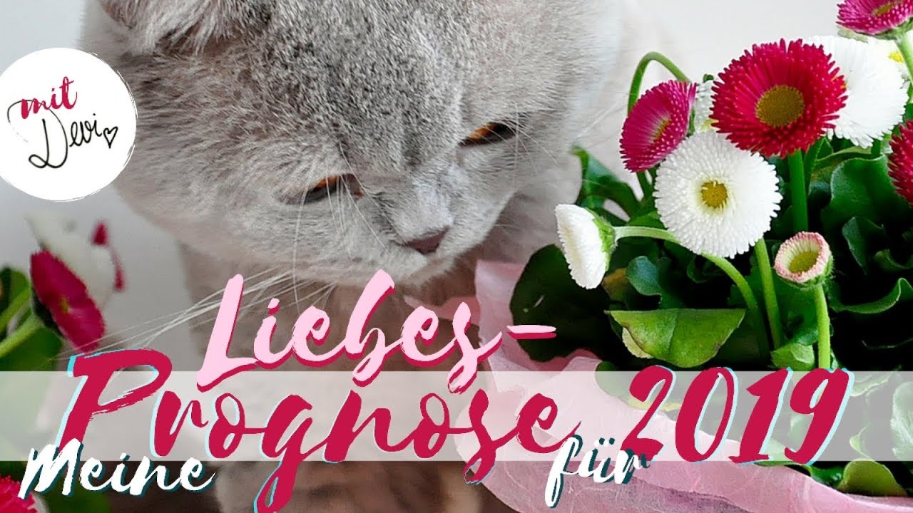 💒 Meine Liebes-Prognose f&uuml;r 2019 💒