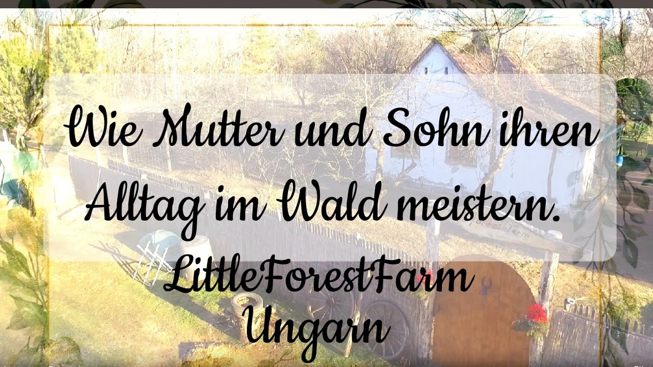 #Ausgewandert. 🇭🇺Es ist nun 1 #Jahr her, seid wir unser neues #Leben in #Ungarn begannen.#waldleben🌳