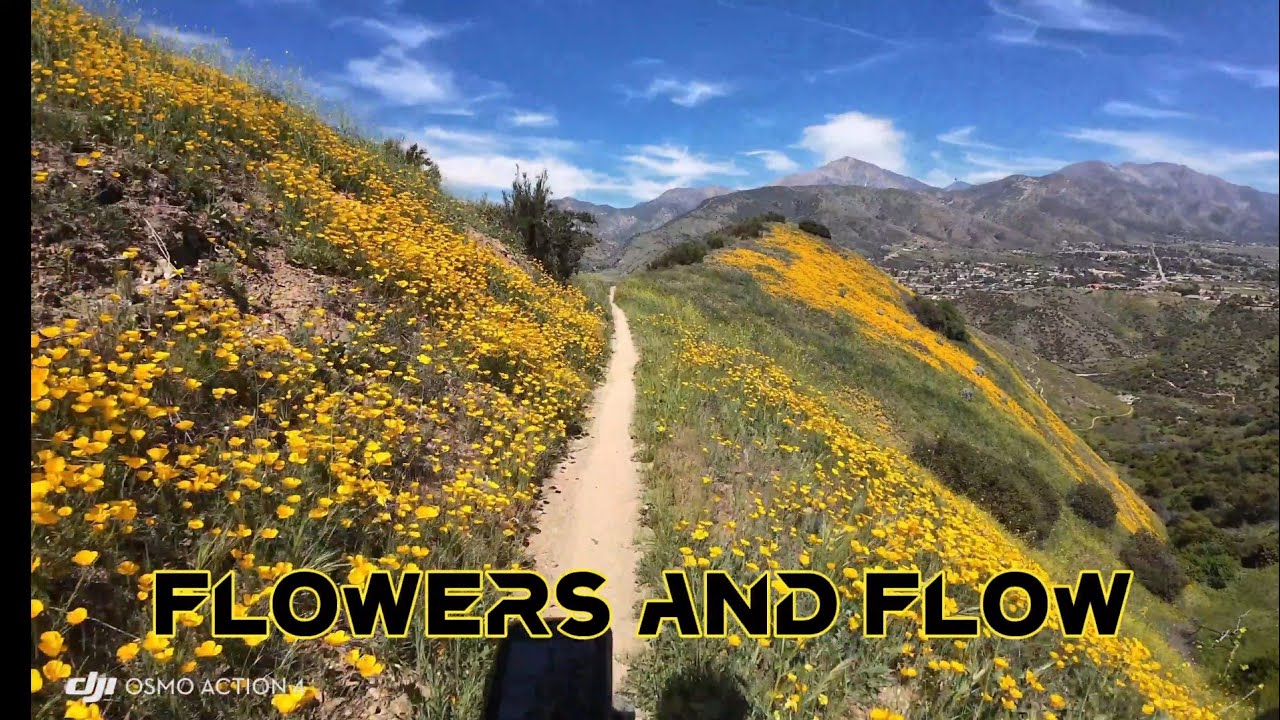 Flowers and Flow Trails (Oakmont and Crafton MTB Sampler)