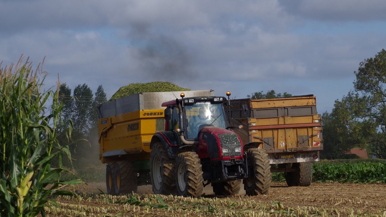Ensilage 2020 ! | SARL CUVILLIER à L'EARL DERON | New Holland fr780 10 RANGS ! 💨🚨🌽🌽