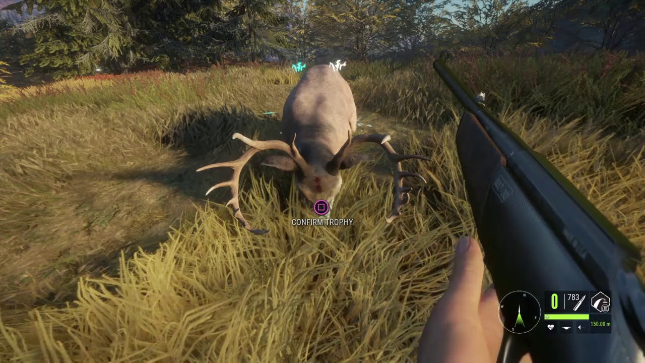 ULTIMATE MONEY GLITCH the Hunter Call of the Wild
