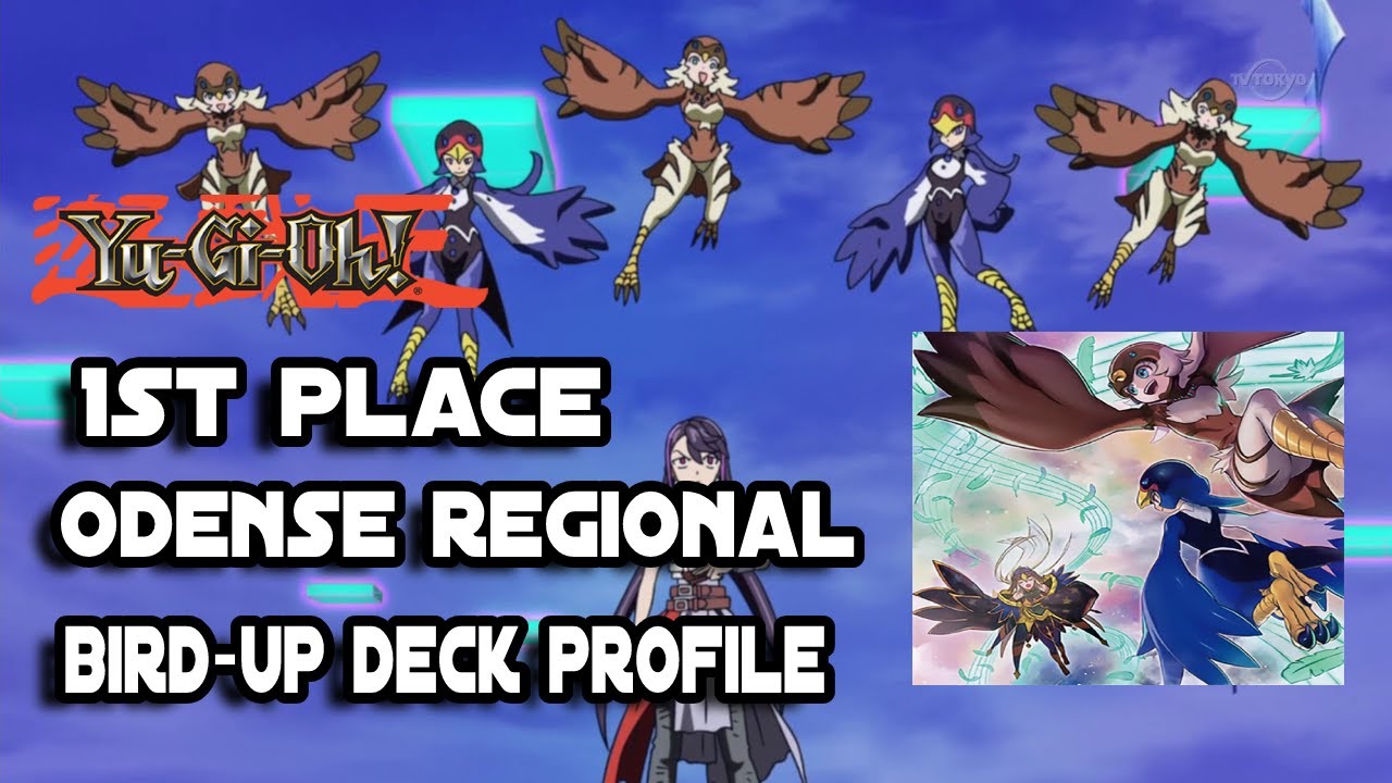 I’ve got 1st place at a regional with birds🦜