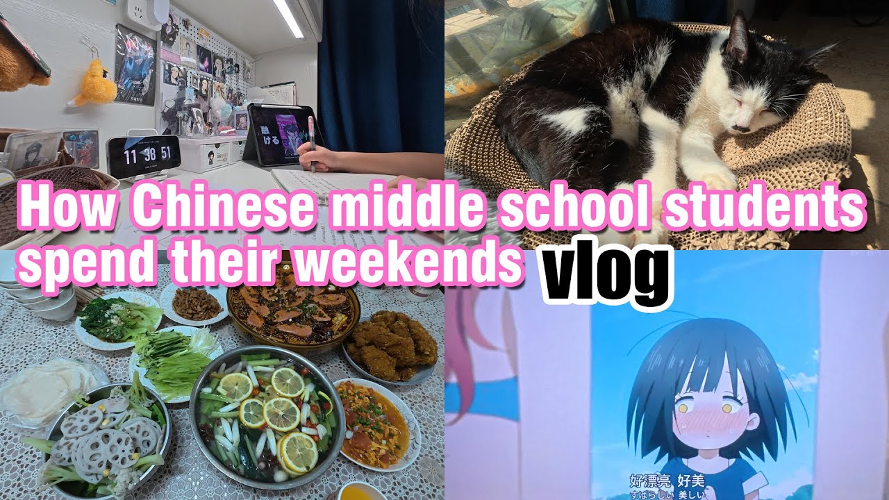 How Chinese middle school students spend their weekends中国中学生是如何度过周末？