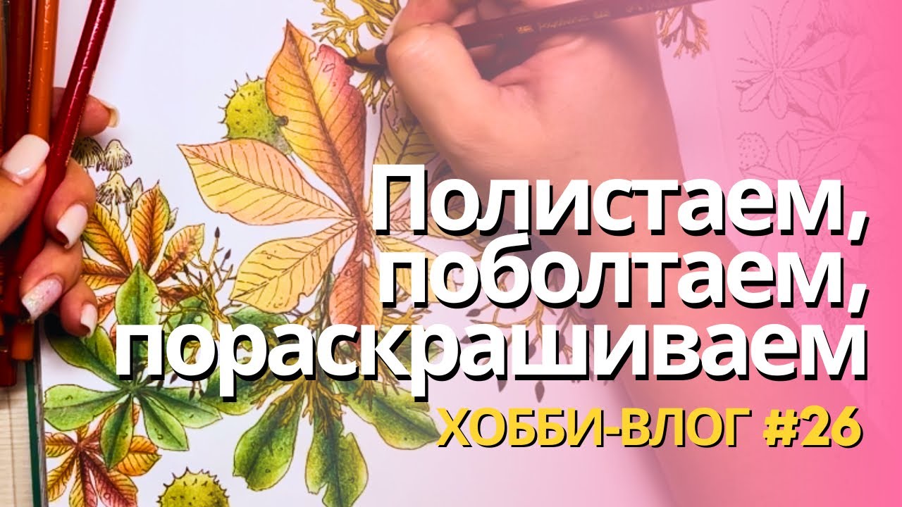 Новые выкраски, планы на месяц, раскрашиваю Animaux des bois | Хобби-влог 26
