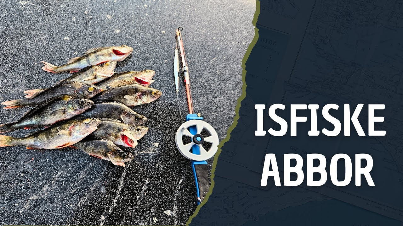 Ice fishing for Perch - January 2026