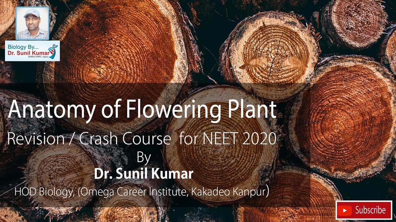 Anatomy of Flowering Plants , Dr. Sunil Kumar | revision / crash course NEET 2020
