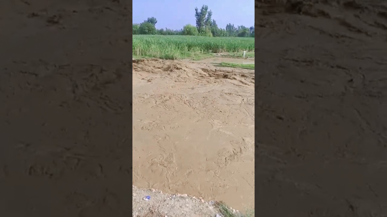 This Flood not going to stop.🤯 #shortvideo #floodvideo #floodinkpk