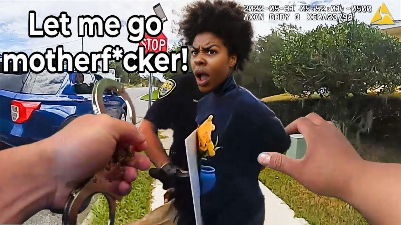Ppp Loan Arrest (I'm going to Jail)