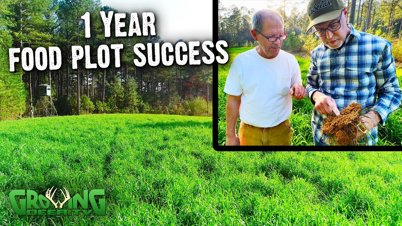 Unbelievable Before and After: The Release Process After 1 Year - See the Transformation - Alabama