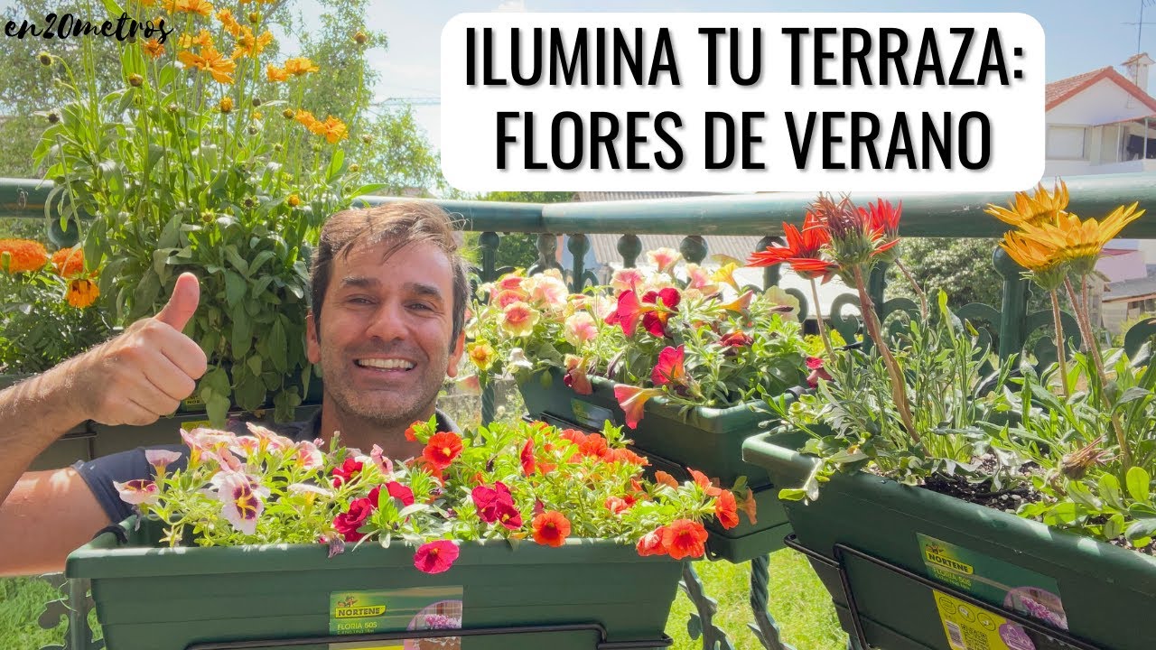 СТОЙКИЕ ЦВЕТЫ для террас с большим количеством СОЛНЦА И ТЕПЛА