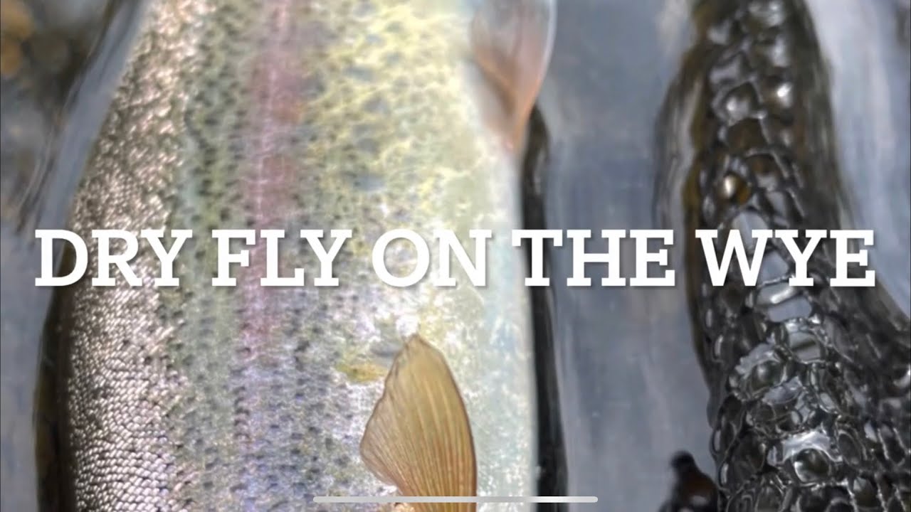 Dry Fly Fishing on the River Wye.