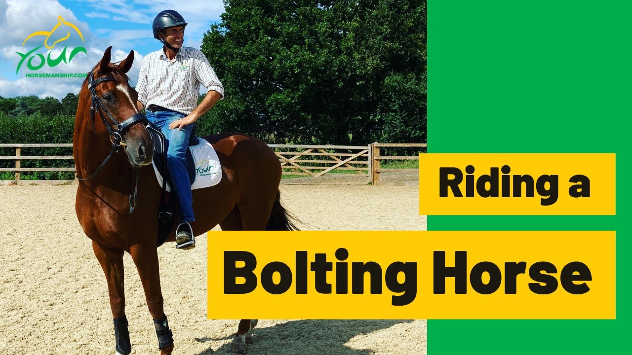 Riding a Bolting Horse - Exercises to teach your horse so you can maintain control!
