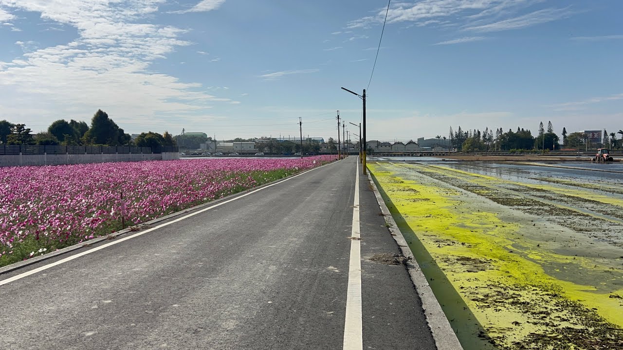 2026.01.31（六）3188次EMU800區間車 石龜車站下車前往石龜彩繪村