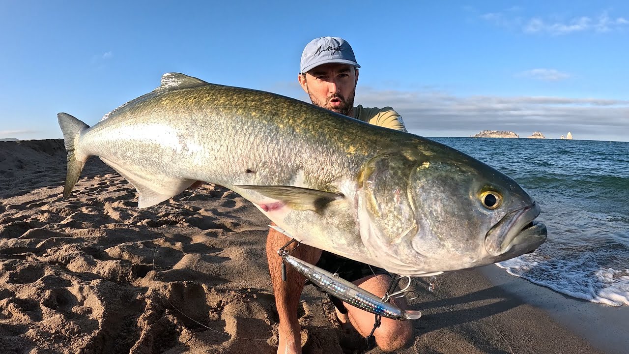 Pesca a spinning in prossimità di foci. Un pesce da incorniciare.