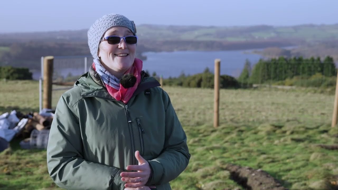 Mini- Forest planted at Carrig near Lacken at Blessington Lake