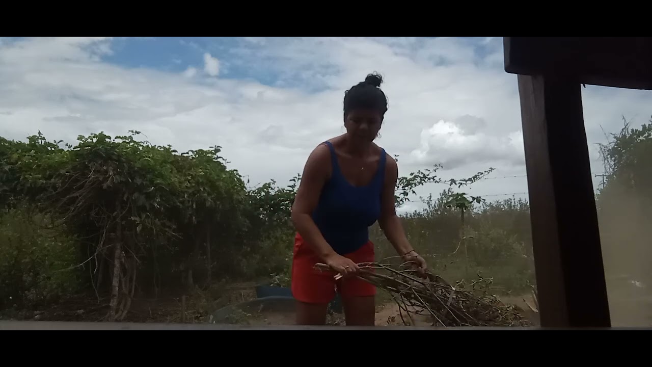 Varrendo meu quintal com vassoura de mato