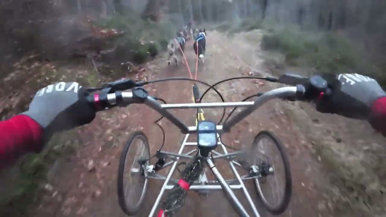 2025 26 SDAS Darnaway 2 6 Dog Nordic Day 1