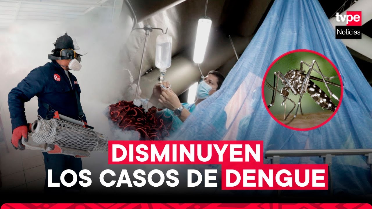 Dengue en Per&uacute;: reportan disminuci&oacute;n de casos en cuatro regiones