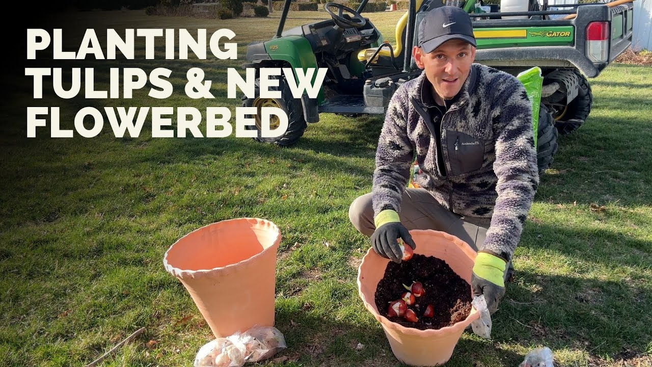 Planting Tulips & Adding More Plants to a Trouble Spot in my Flowerbed