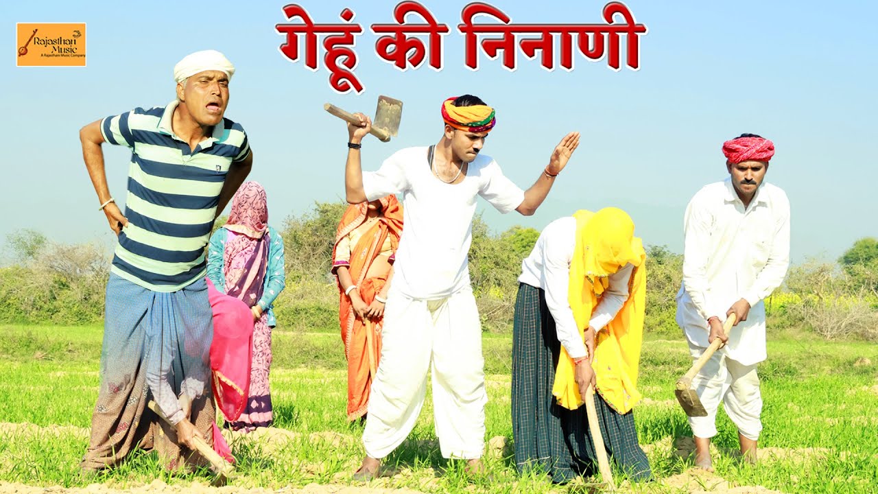 गेहूं की निनाणी - केसरा मंगल्या की हटकर कॉमेडी || new rajasthani comedy || marwadi comedy video 2023