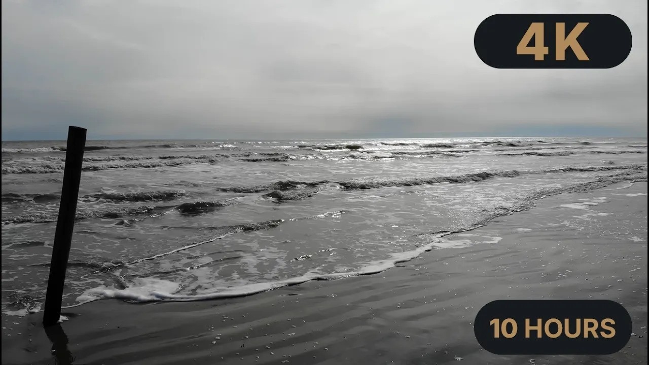 Dryline Live | Galveston Texas Coastal Storm