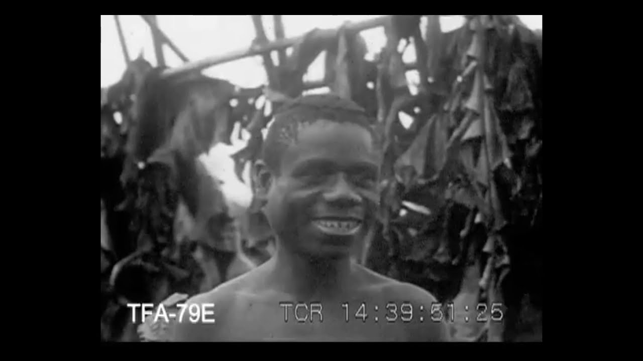 Nuh'un Gemisi - EtoLoop (Official Music Video)